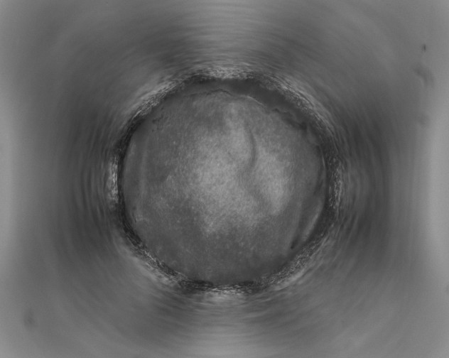 X0000111680696200908071425