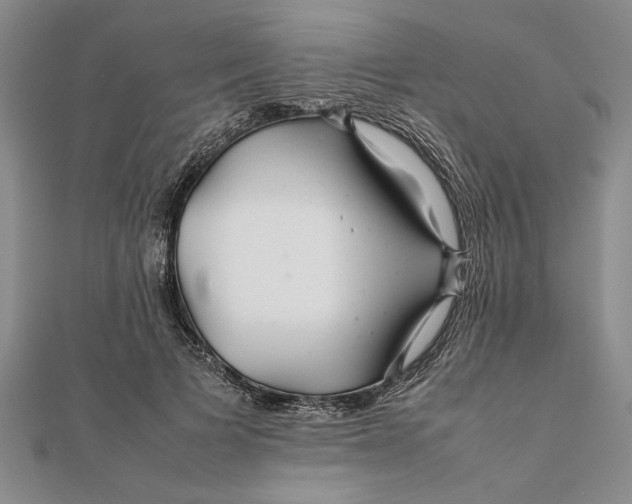 X0000111680697200908071425