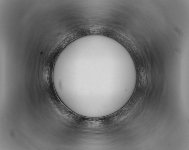 X0000111680698200908071425