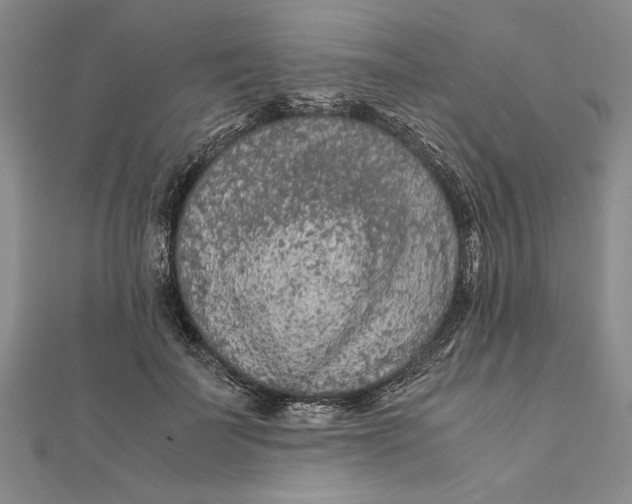 X0000111680699200908071425