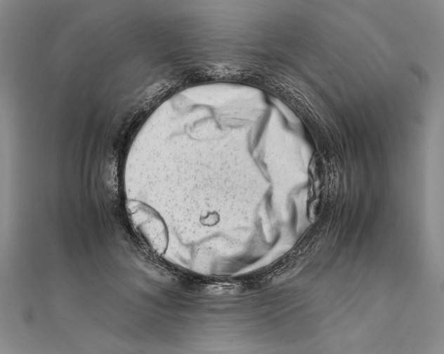 X0000111680700200908071425