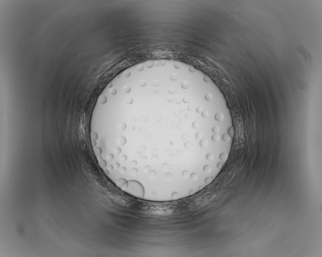 X0000111680702200908071425