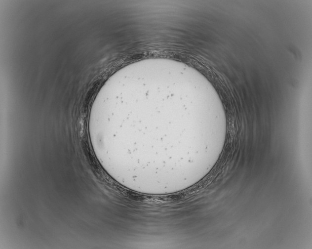 X0000111680703200908071425