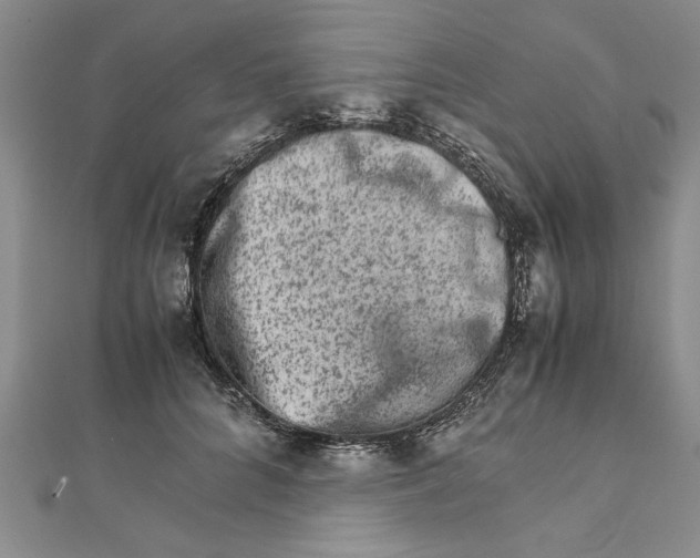 X0000111680704200908071425