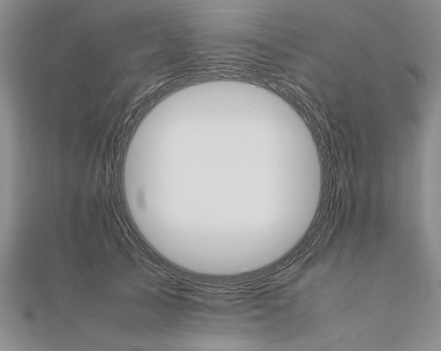 X0000111680705200908071425