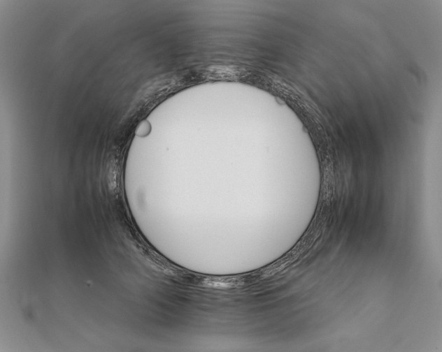 X0000111680706200908071425