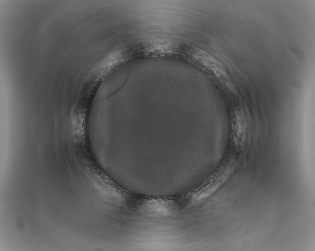 X0000111680708200908071425