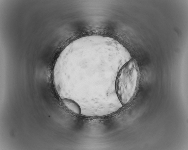 X0000111680709200908071425