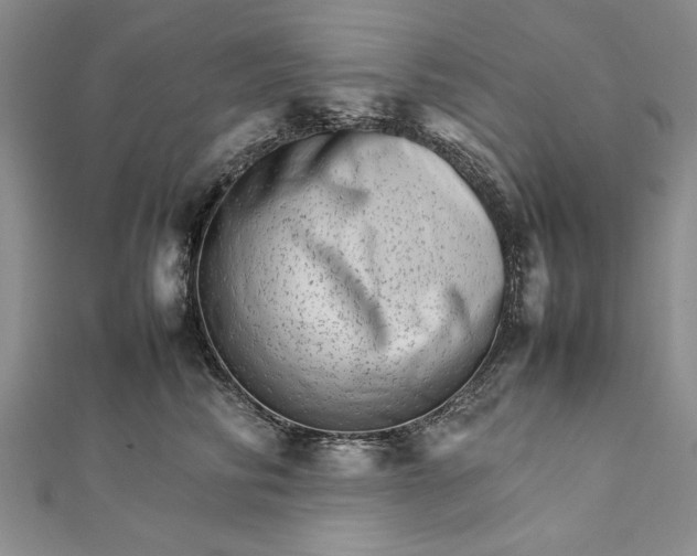 X0000111680710200908071425