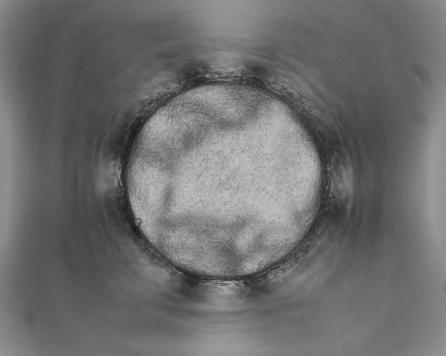 X0000111680711200908071425