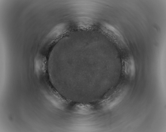 X0000111680712200908071425