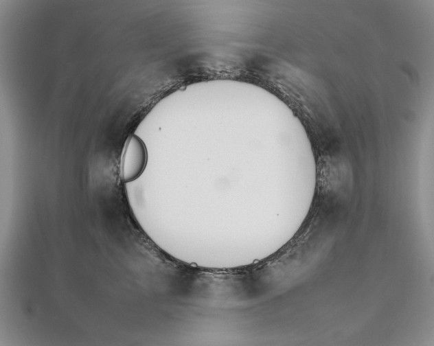 X0000111680713200908071425