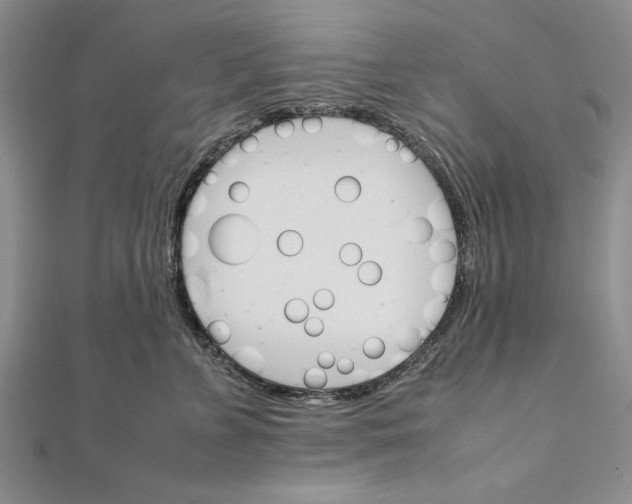 X0000111680715200908071425