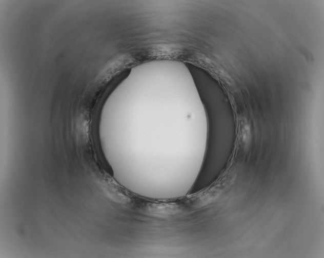 X0000111680716200908071425