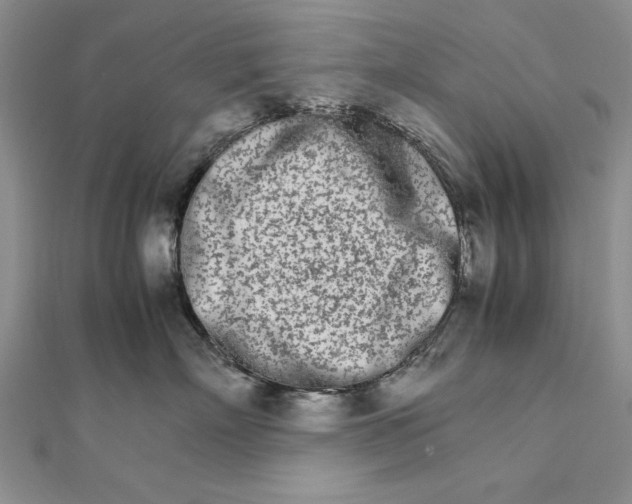 X0000111680718200908071425