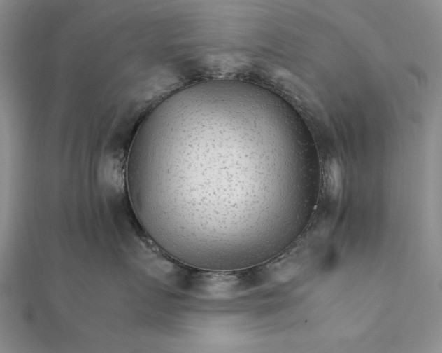 X0000111680719200908071425