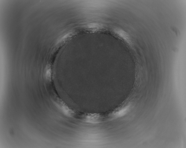 X0000111680720200908071425