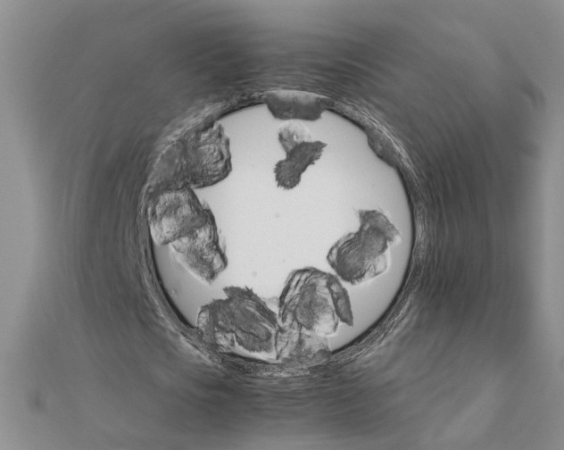 X0000111680721200908071424