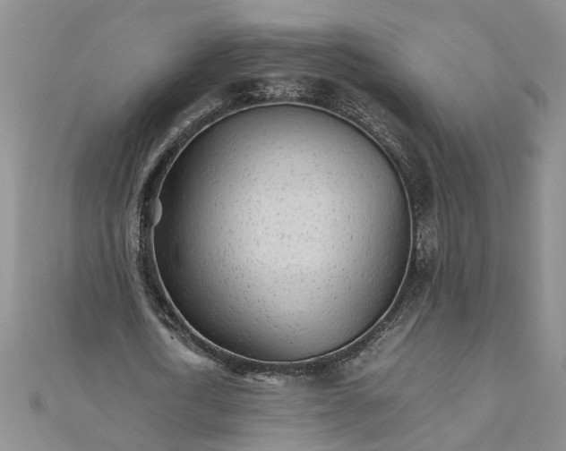 X0000111680722200908071424