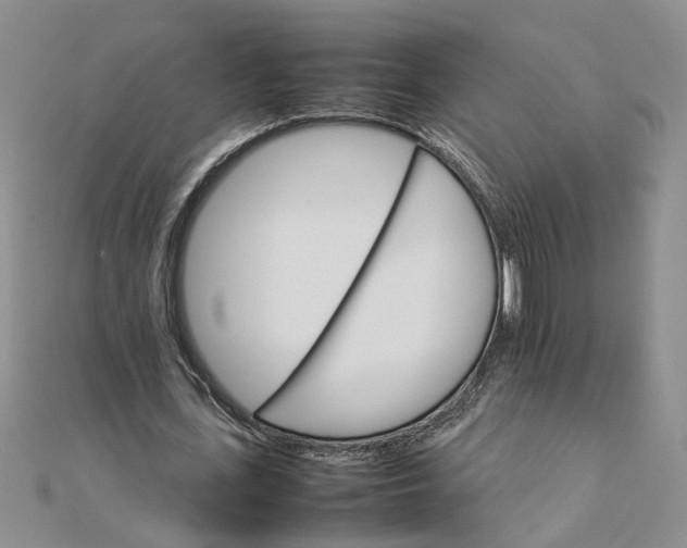 X0000111680723200908071424