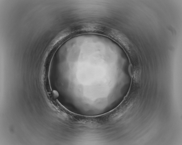 X0000111680724200908071424