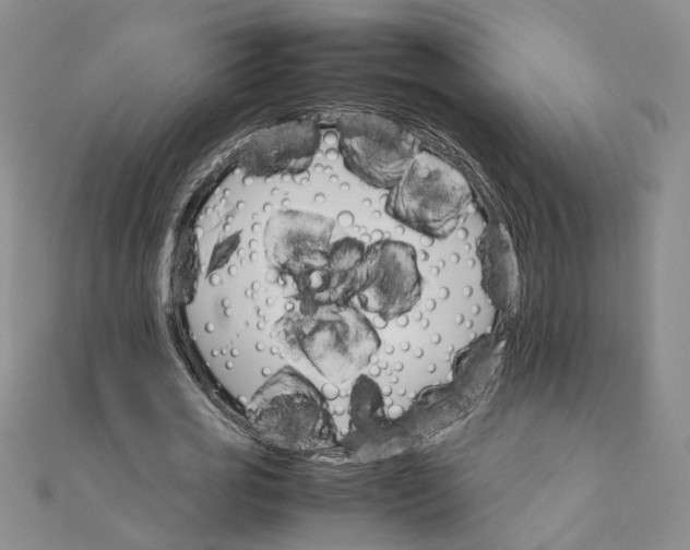 X0000111680725200908071424