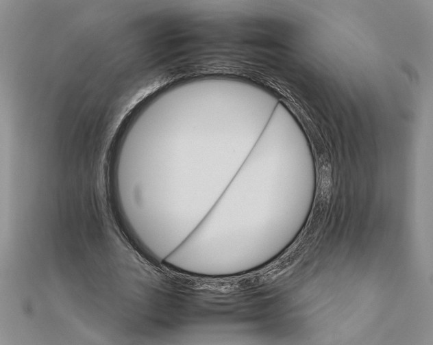 X0000111680727200908071424