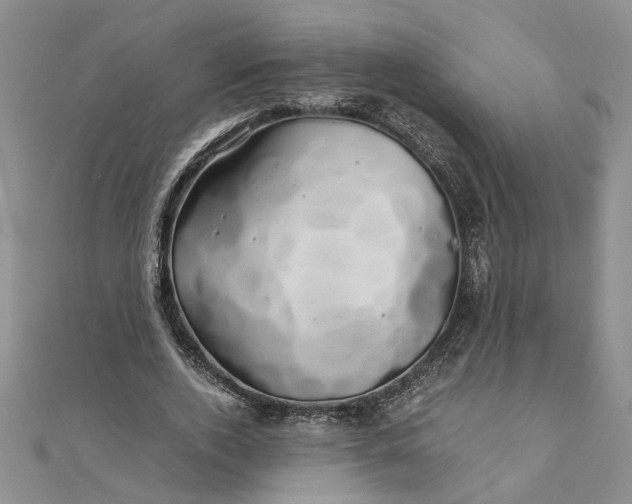 X0000111680728200908071424