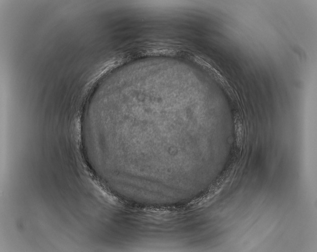 X0000111680729200908071424