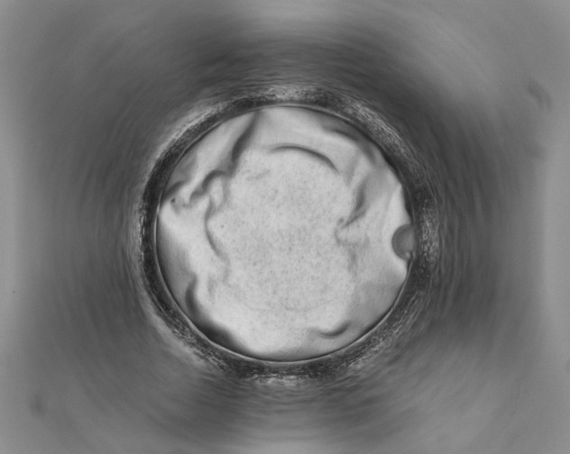 X0000111680730200908071424