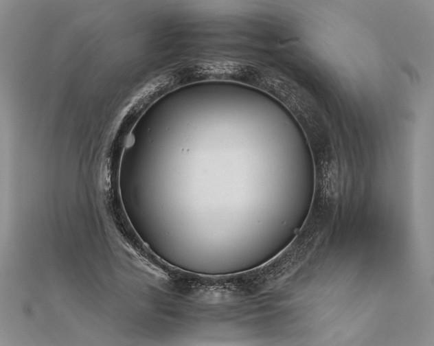 X0000111680731200908071424