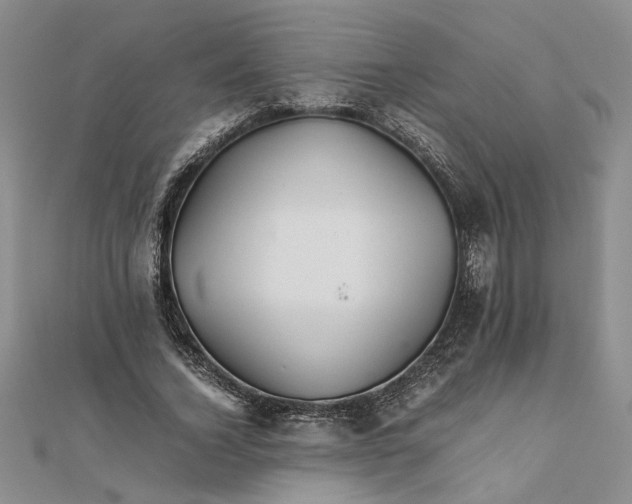 X0000111680732200908071424