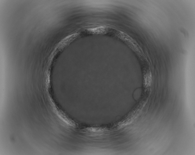 X0000111680733200908071424