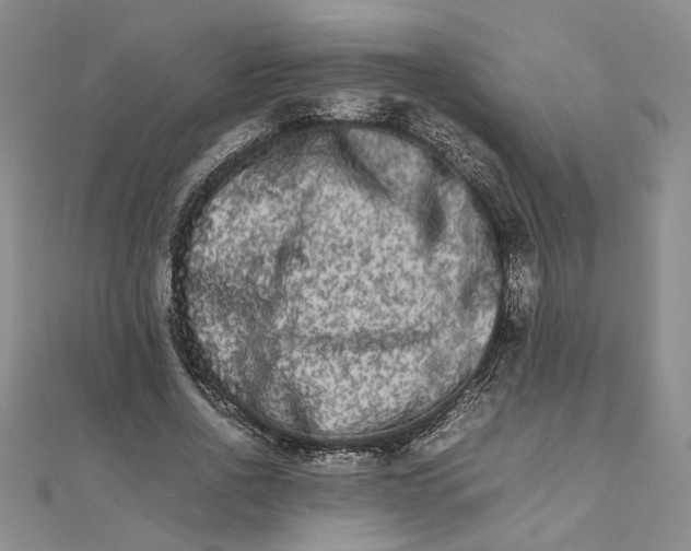 X0000111680734200908071424