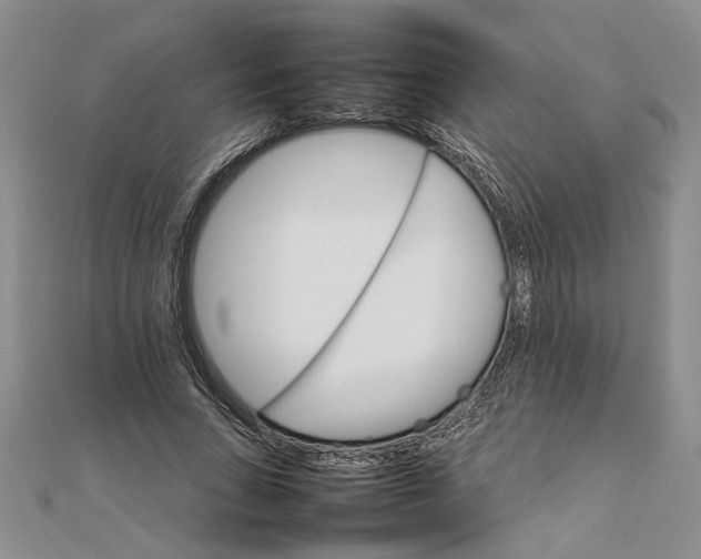 X0000111680735200908071424