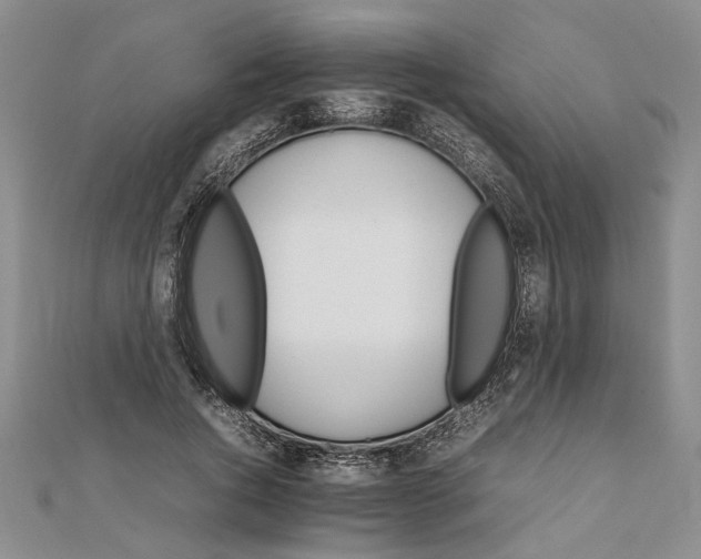 X0000111680736200908071424