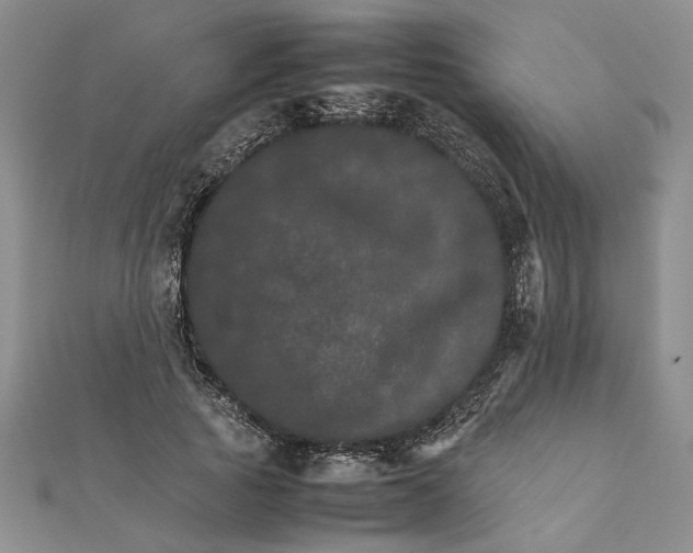 X0000111680737200908071424