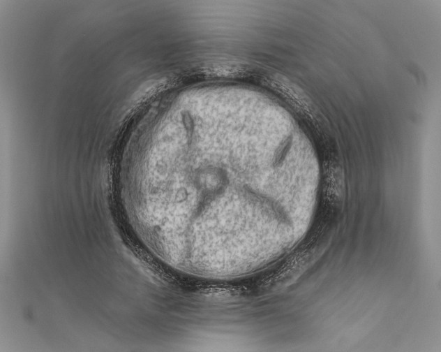 X0000111680738200908071424