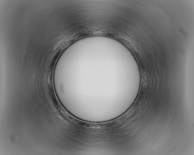 X0000111680740200908071424