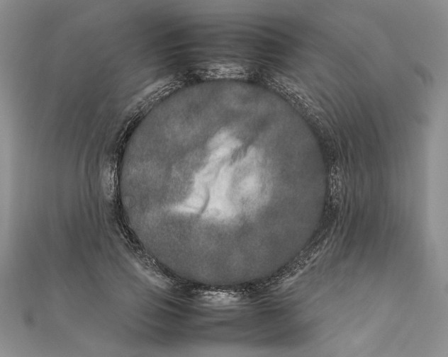 X0000111680741200908071424