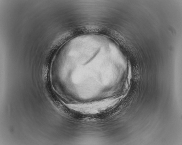 X0000111680742200908071424