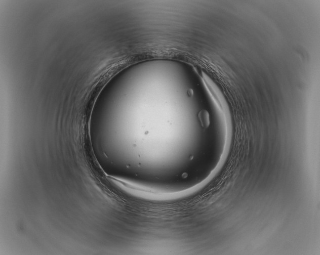 X0000111680744200908071424