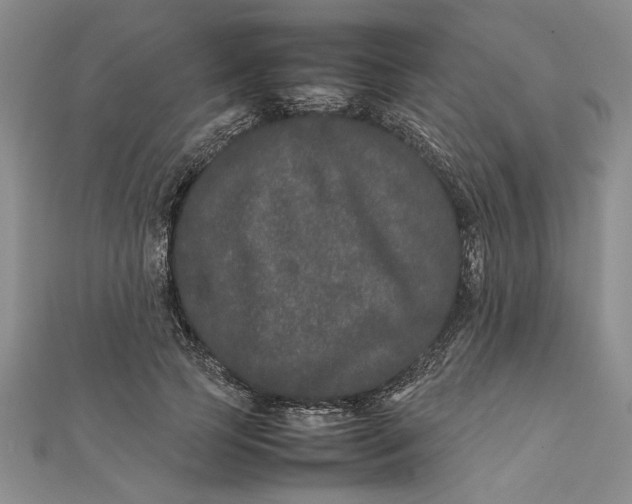 X0000111680745200908071424