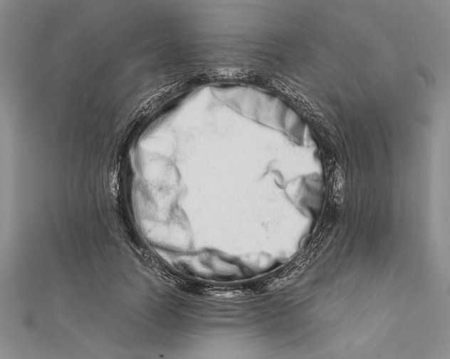 X0000111680746200908071424