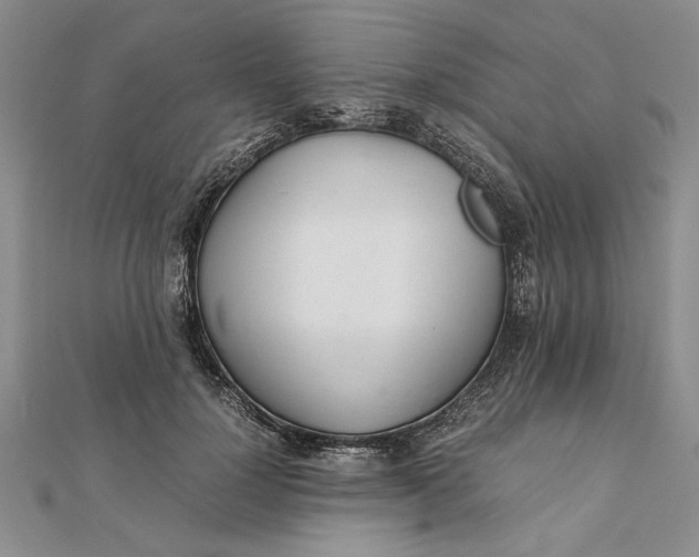 X0000111680748200908071424