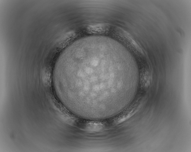 X0000111680749200908071424