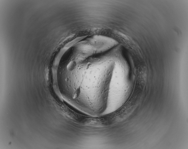 X0000111680750200908071424