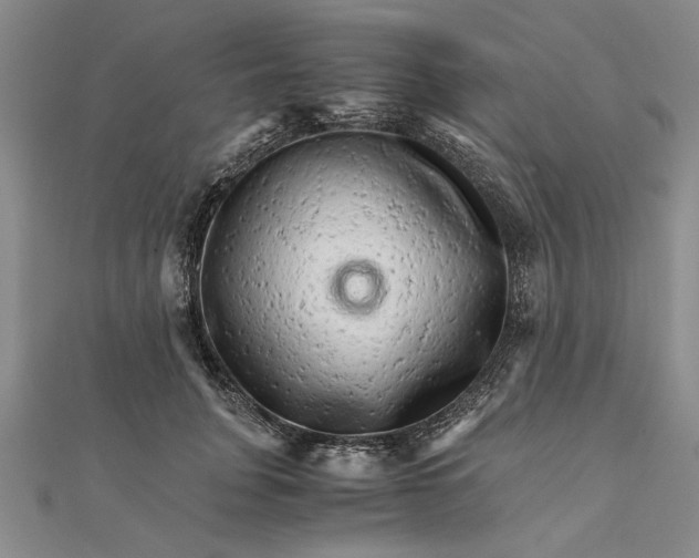 X0000111680751200908071424