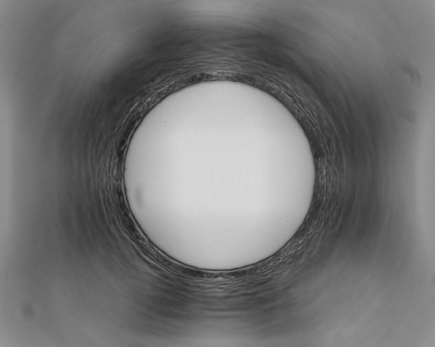 X0000111680752200908071424