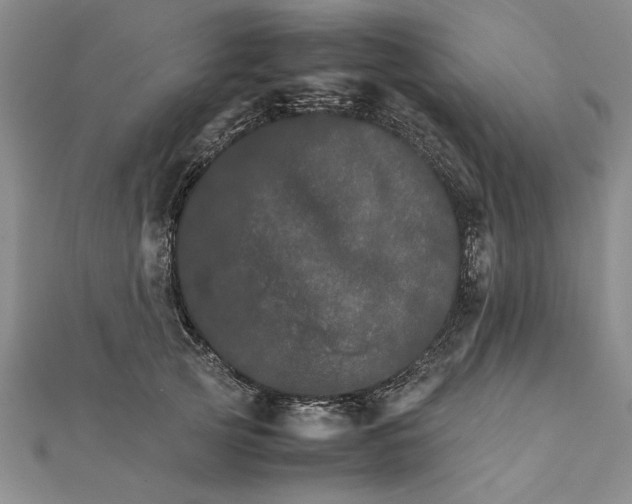 X0000111680753200908071424